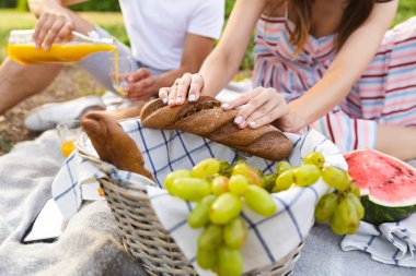 Birkaç sahip bir piknik bir sepeti yemek yeme Park, yakın çekim