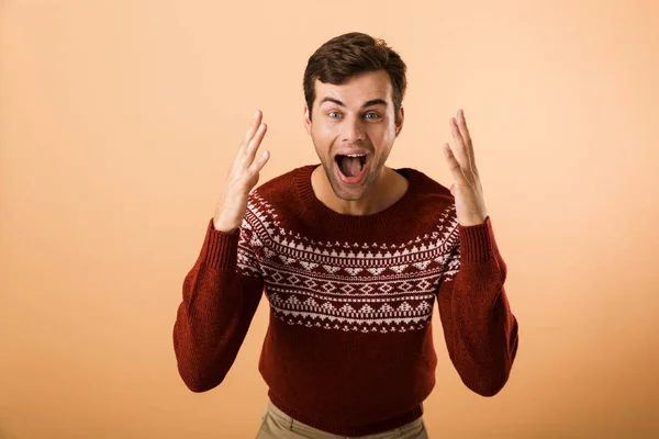 스웨터 비명과 베이지색 수염으로 잘생긴 이미지 — 스톡 사진