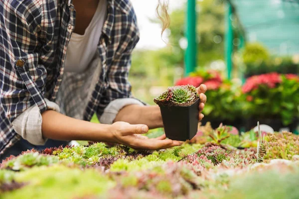 温室の花を扱う女性庭師の写真をトリミング — ストック写真