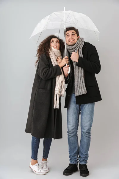 灰色の背景の上分離された傘の下に立っている Autimn の服を着て動揺冷凍カップル — ストック写真
