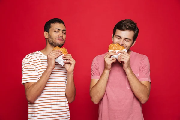 Twee Blij Mannen Vrienden Permanent Geïsoleerd Rode Achtergrond Hamburgers Eten — Stockfoto