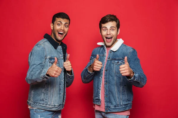 Two excited young men friends wearing denim jackets standing isolated over red background, giving thumbs up