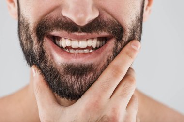 Gülümseyen bir sakallı adam portresi yarım yüz kadar kapatın