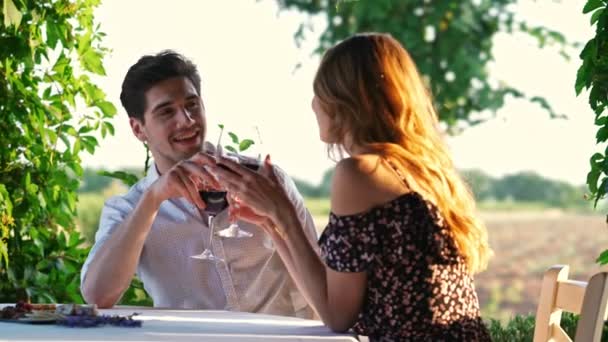お互いに話し合うワインを飲んで屋外に座っている若い愛情のあるカップル — ストック動画