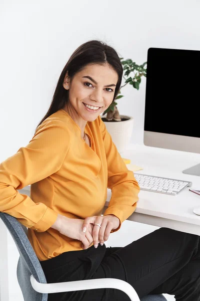 Foto de alegre morena empresaria trabajando en el ordenador grande i — Foto de Stock