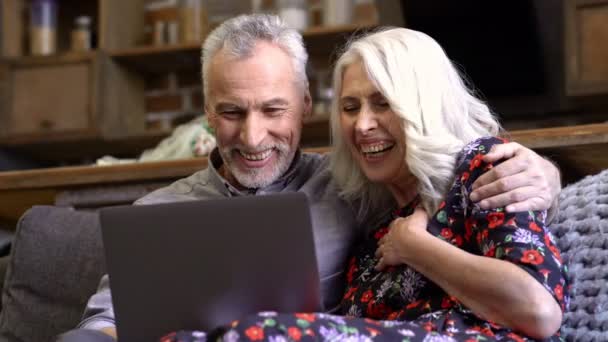 高兴的老年优雅夫妇坐在一起坐在一起 并通过视频通话在笔记本电脑在家里 — 图库视频影像