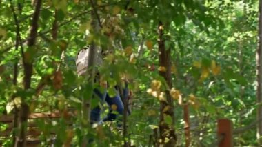 Mutlu genç çok ırklı çift parkta birlikte vakit geçirmek Yan görünümü