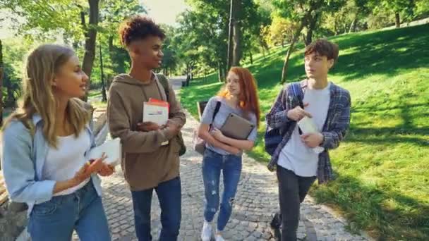 Grupo Estudantes Multiétnicos Alegres Divertindo Juntos Enquanto Caminham Livre Parque — Vídeo de Stock