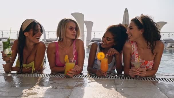 スイミングプールで一緒にリラックスしながらカクテルを飲む水着で陽気な美しさの女性の友人のグループ — ストック動画
