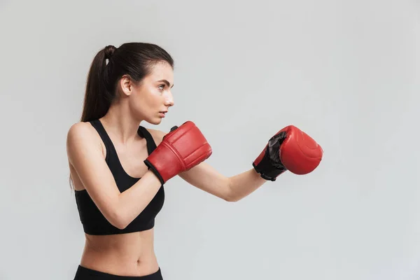 灰色の壁の背景の上に隔離された若いスポーツフィットネス女性ボクサーは、手袋で演習を行います. — ストック写真
