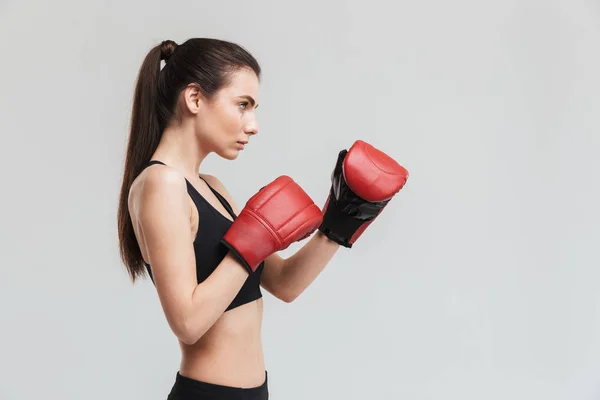 Young sport fitness woman boxer isolated over grey wall background make exercises in gloves. — Stock Photo, Image