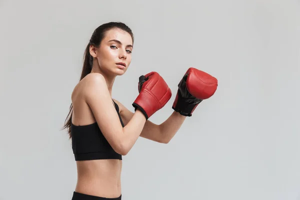 Young sport fitness woman boxer isolated over grey wall background make exercises in gloves. — Stock Photo, Image