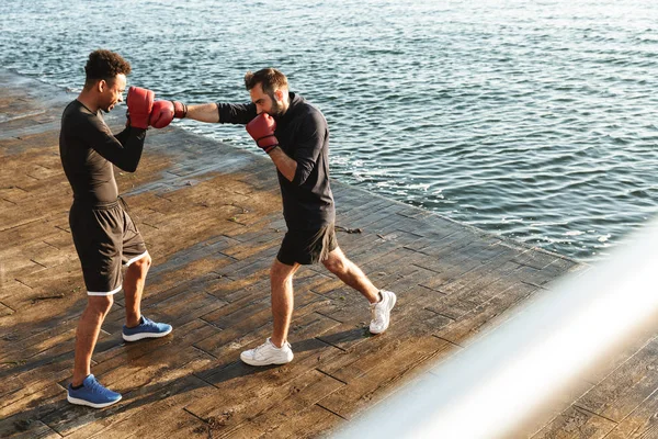 Deniz boks yakınında plajda konsantre yakışıklı güçlü iki genç spor erkek boksörler arkadaşlar.