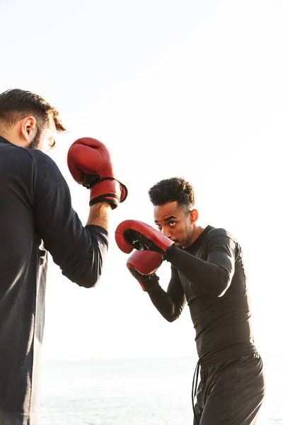 Concentrado guapo fuerte dos jóvenes deportistas boxeadores amigos en la playa cerca del boxeo de mar . — Foto de Stock