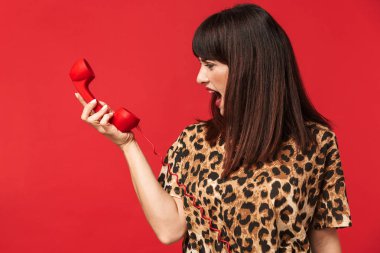 Güzel çığlık kızgın genç kadın hayvan baskılı gömlek giymiş telefonla konuşurken kırmızı arka plan üzerinde izole poz.