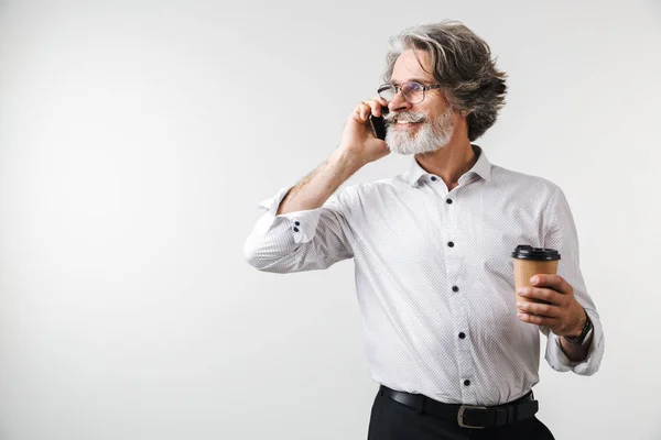 Portrait of a handsome mature businessman — Stock Photo, Image