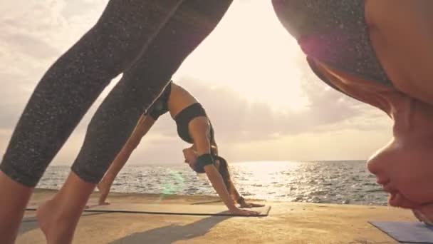 Gruppe Schöner Konzentrierter Junger Sportlicher Multiethnischer Freundinnen Sportbekleidung Die Yoga — Stockvideo