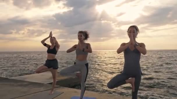 Grupo Focado Calma Jovem Desportivo Multiétnico Mulheres Amigos Sportswear Fazendo — Vídeo de Stock