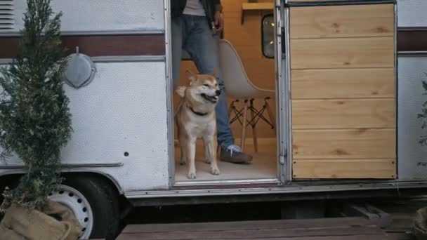 Bonito Alegre Jovem Morena Homem Saindo Trailer Passeando Seu Cão — Vídeo de Stock