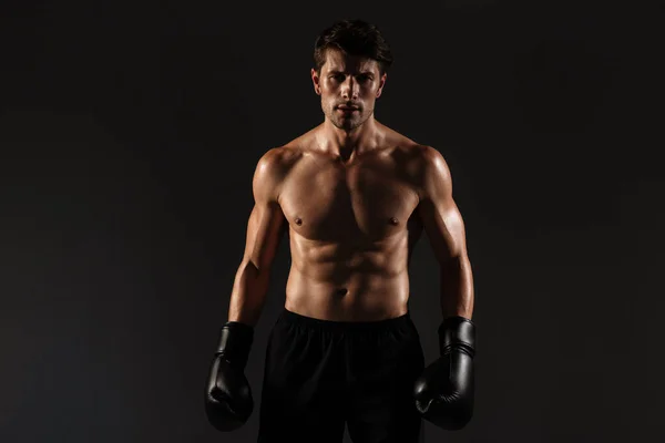Concentrado forte bonito jovem desportista boxer em luvas posando isolado sobre fundo de parede preta . — Fotografia de Stock