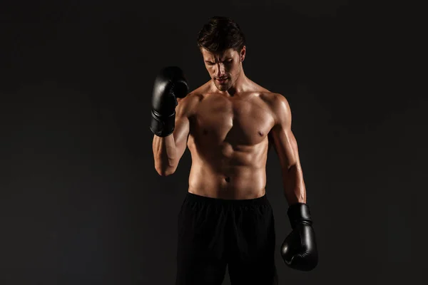 Concentrado fuerte guapo joven deportista boxeador en guantes posando aislado sobre fondo negro de la pared . —  Fotos de Stock