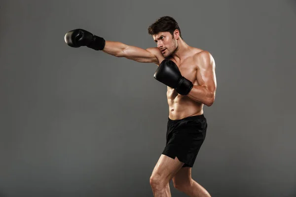 Serious handsome young strong sportsman boxer in gloves make exercises boxing isolated over grey wall background. — Stock Photo, Image