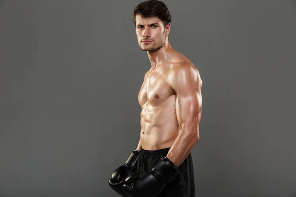 Koncentrerad stilig ung stark idrottsman boxare i handskar poserar isolerad över grå vägg bakgrund. — Stockfoto