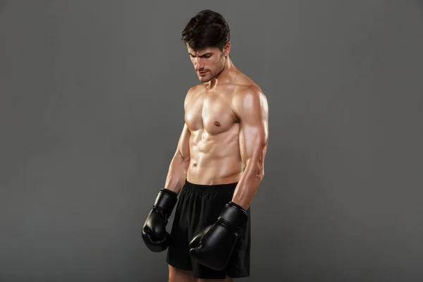 Beau et concentré jeune boxeur sportif fort en gants posant isolé sur fond de mur gris . — Photo