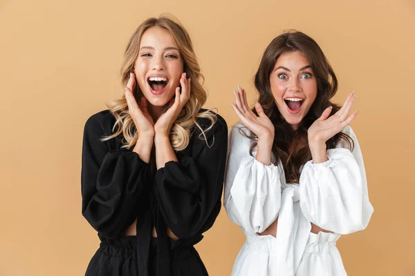 Retrato de dos mujeres excitadas mirando a la cámara con las manos levantadas — Foto de Stock