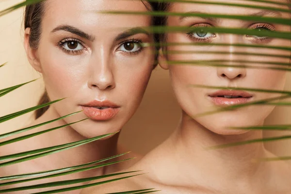 Mujeres serias posando desnudas con planta de hojas de naturaleza verde . —  Fotos de Stock