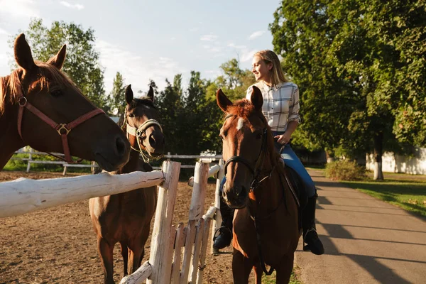 笑容可亲的金发姑娘骑着马 — 图库照片