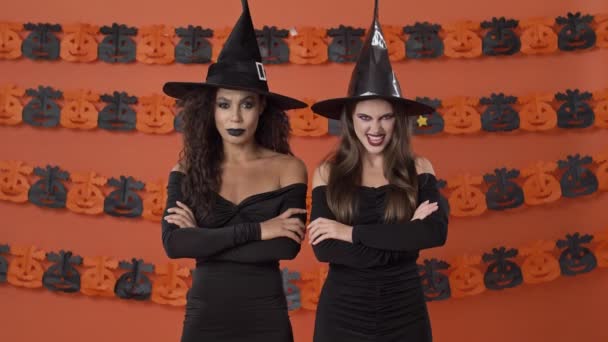 Hübsche Junge Hexen Schwarzen Halloween Kostümen Lachen Zusammen Und Gestikulieren — Stockvideo