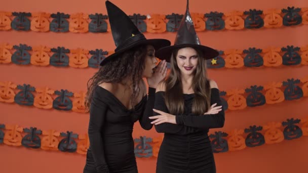 Vackra Glada Unga Häxa Kvinnor Svart Halloween Kostymer Viskar Varandra — Stockvideo