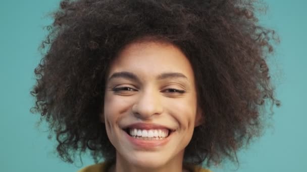 一个有着一头卷发的迷人而快乐的年轻的非洲裔美国女人的近照正在工作室里笑着 凝视着站在蓝色墙壁背景上的摄像机 — 图库视频影像