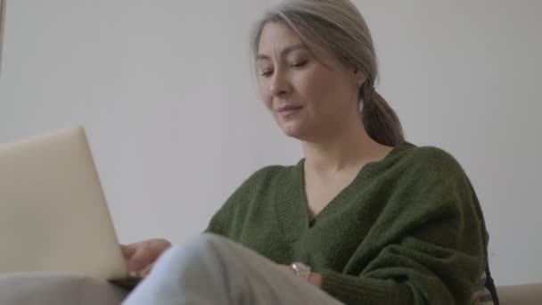 Calmo Atraente Mulher Madura Com Cabelos Longos Cinza Usando Computador — Vídeo de Stock