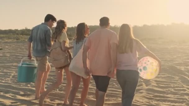 돌아보면 친구들이 해변에서 소풍을 것이다 — 비디오