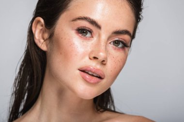 Gri arka planda ıslak, uzun saçlı, çekici ve şehvetli bir kadının güzel portresi.