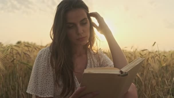 Sério Bonita Mulher Vestindo Vestido Leitura Livro Enquanto Sentado Piquenique — Vídeo de Stock