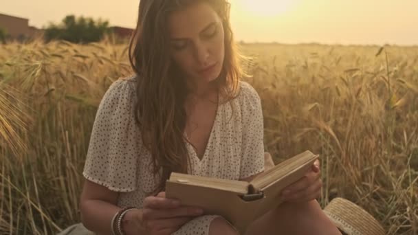 Calma Mujer Bonita Usando Vestido Libro Lectura Mientras Está Sentado — Vídeo de stock