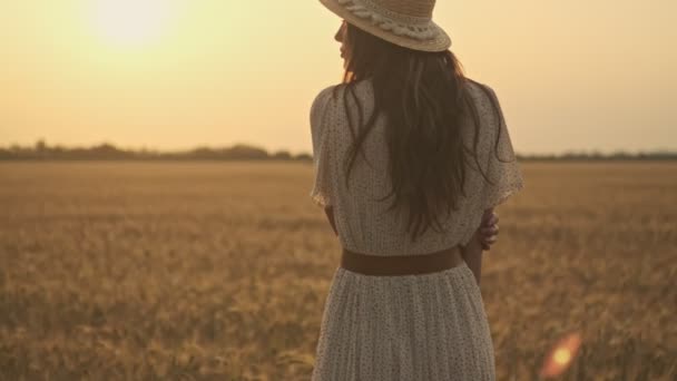 小麦畑の上にポーズをとってカメラに向かう可愛い女の背中の風景 — ストック動画