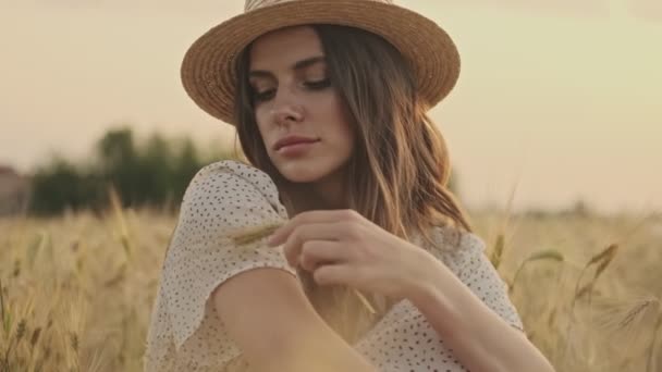 小麦畑に座っている間にドレスとスタイリッシュな帽子を身に着けているケアフリー魅力的な女性 — ストック動画