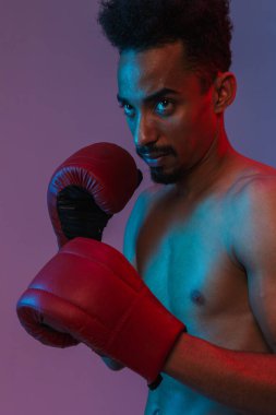 Eflatun arka planda izole edilmiş boks eldivenleriyle zehirlenen yarı çıplak Afro-Amerikan sporcusunun portresi