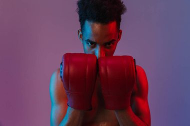 Eflatun arka planda izole edilmiş boks eldivenli saldırgan Afro-Amerikan sporcusunun portresi.