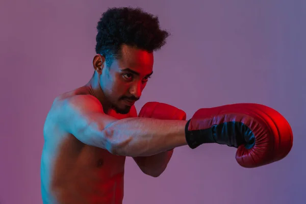 男性化的半裸体非洲裔美国男子的肖像 戴着深紫色背景的拳击手套 — 图库照片