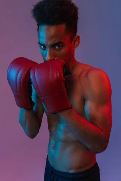 Retrato Del Brutal Deportista Afroamericano Sin Camisa Posándose Guantes Boxeo — Foto de Stock