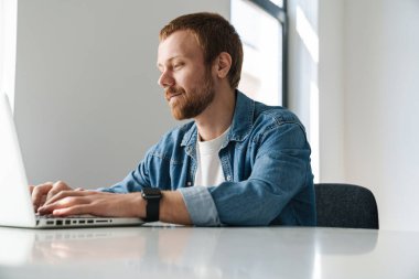 Odaklanmış, kırmızı sakallı yakışıklı bir adamın fotoğrafı. Laptopta çalışırken içeride oturuyor.