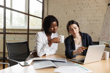 Modern bir ofiste yeni bir proje üzerinde çalışan iki çekici, zeki, çok ırklı kadın girişimci masa başında oturuyorlar.