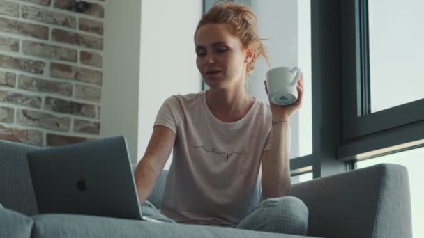 Young Concentrated Woman Indoors Home Sitting Sofa While Using Laptop — Stock Video