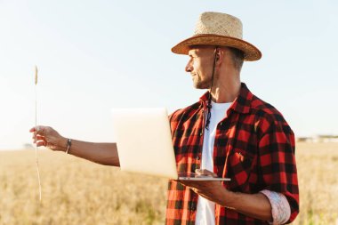 Hasır şapkalı, laptopla çalışan, mısır gevreği tarlasında buğday kulağı tutan, traşsız bir yetişkin resmi.