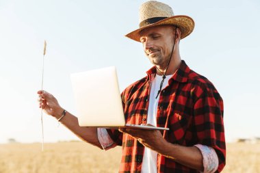 Hasır şapkalı, laptopla çalışan, mısır gevreği tarlasında buğday kulağı tutan, traşsız bir yetişkin resmi.